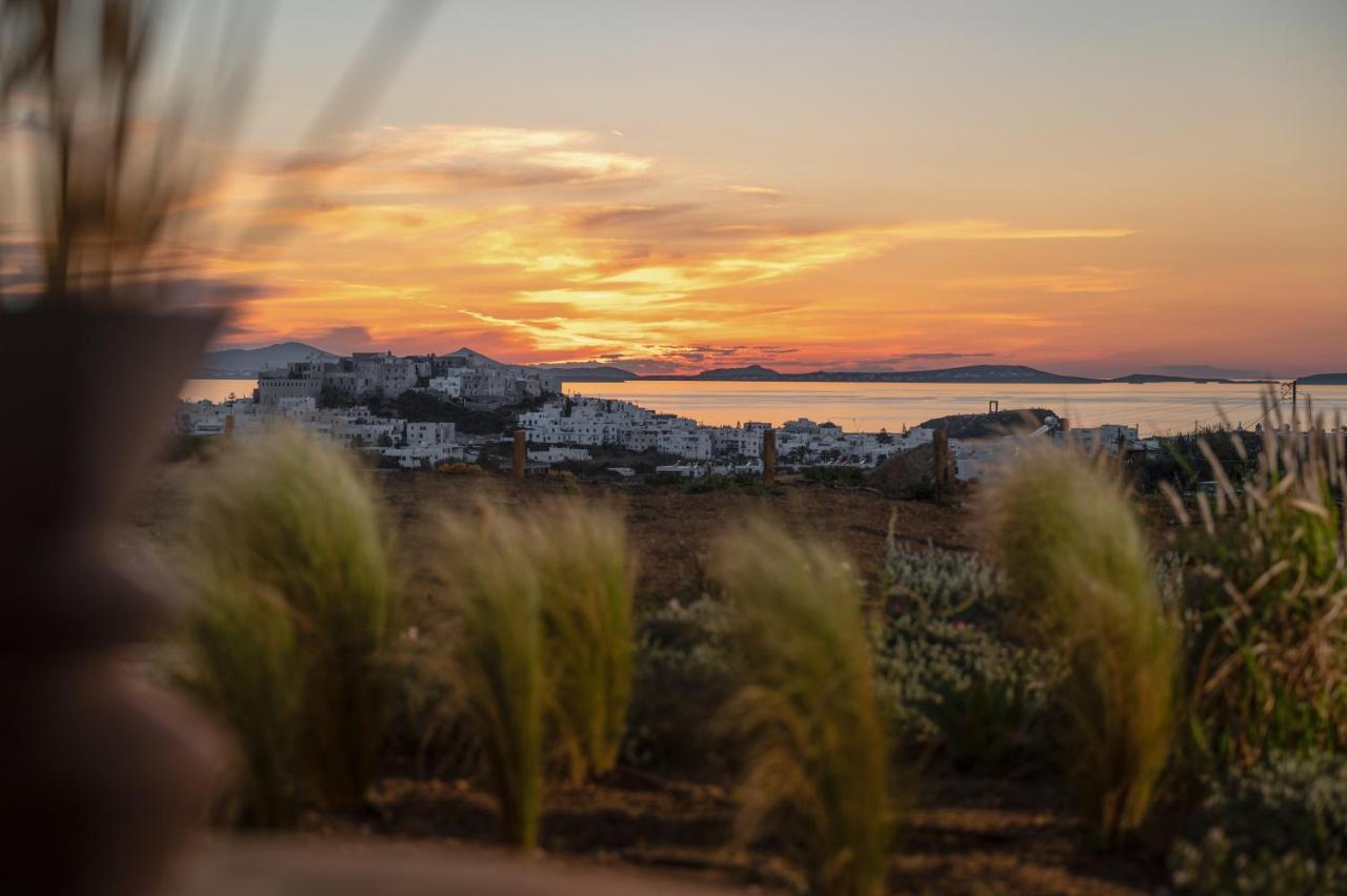Opuntia Suites Naxos City Экстерьер фото